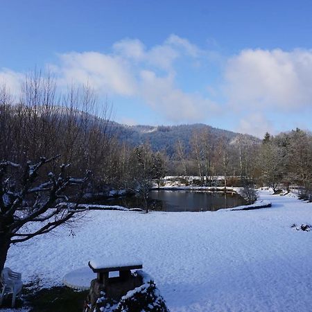 La Maison Et L'Etang - Grand Terrain Prive Vagney Exteriör bild