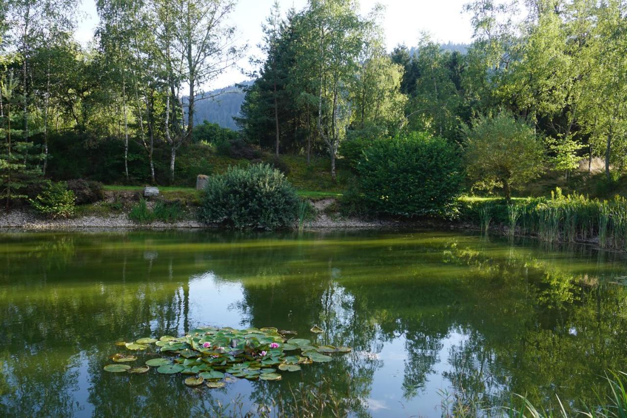 La Maison Et L'Etang - Grand Terrain Prive Vagney Exteriör bild