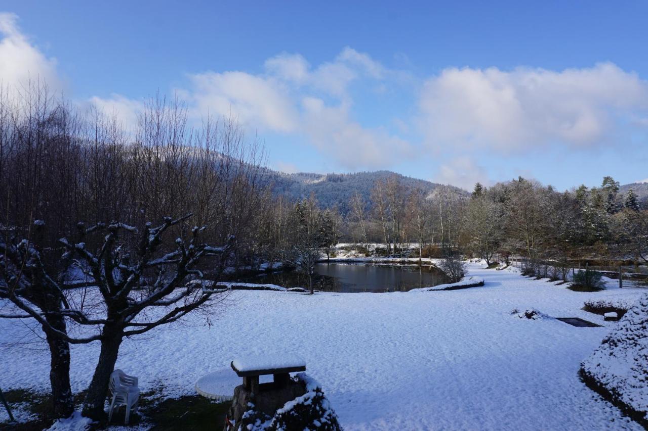 La Maison Et L'Etang - Grand Terrain Prive Vagney Exteriör bild